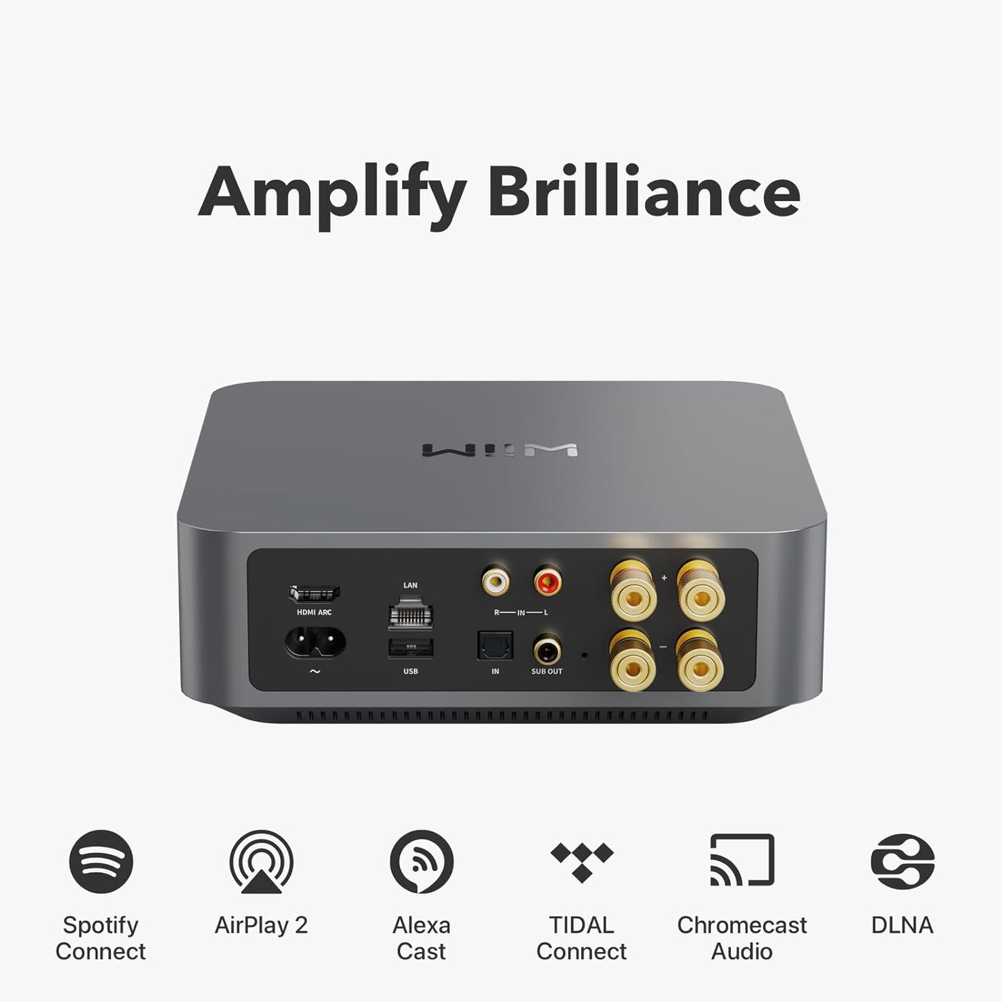 WiiM AMP Multi-Room Streaming Amplifier