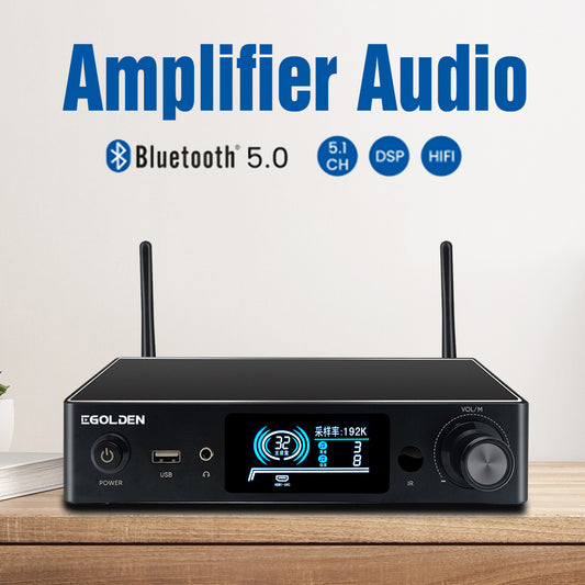 Emiuzek WA80 Pro WiFi & Bluetooth 5.0 Stereo Amplifier